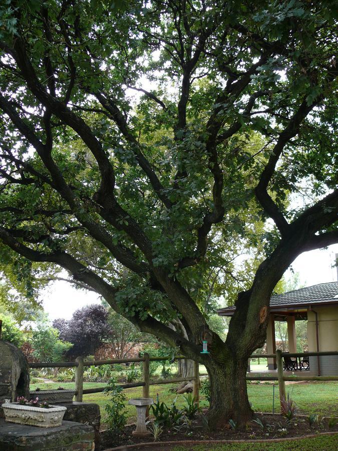 42Onking Bed and Breakfast Centurion Exteriör bild